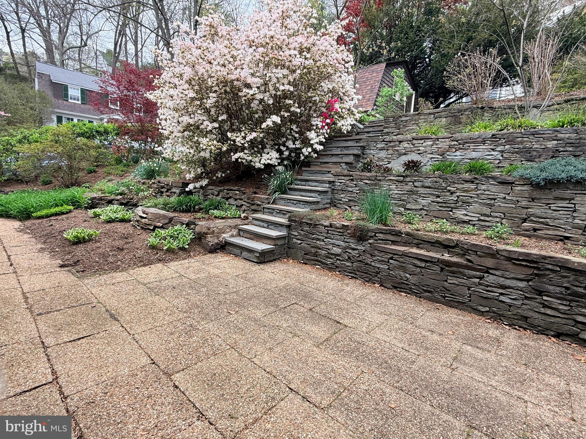 ROLAND PARK - Residential
