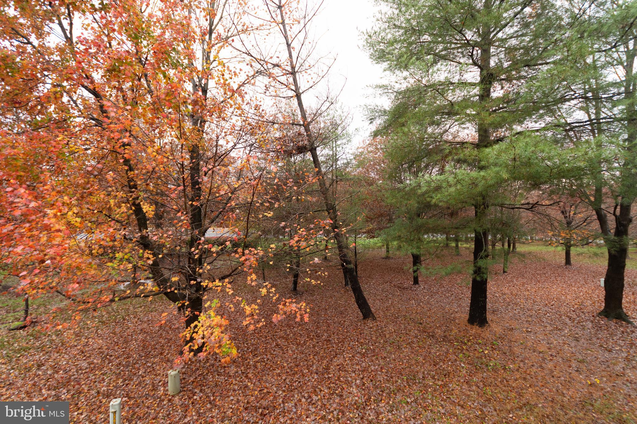 REGENCY MEADOWS - Residential Lease