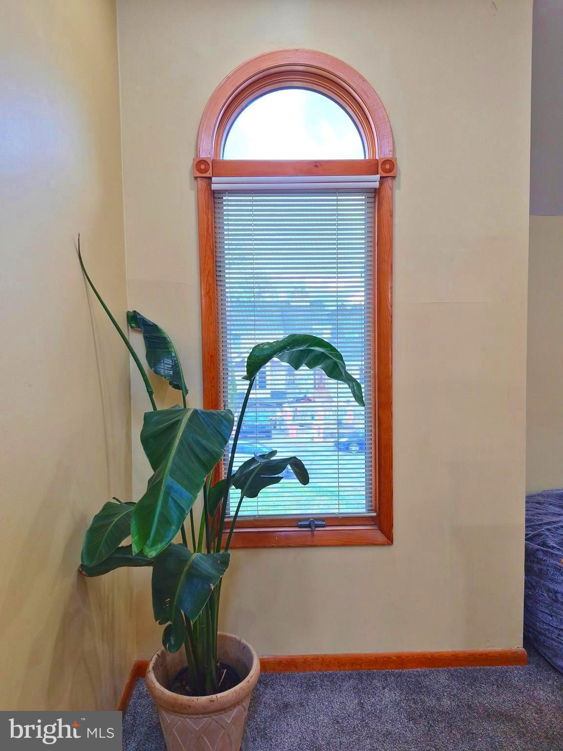 BUSTLETON - Residential