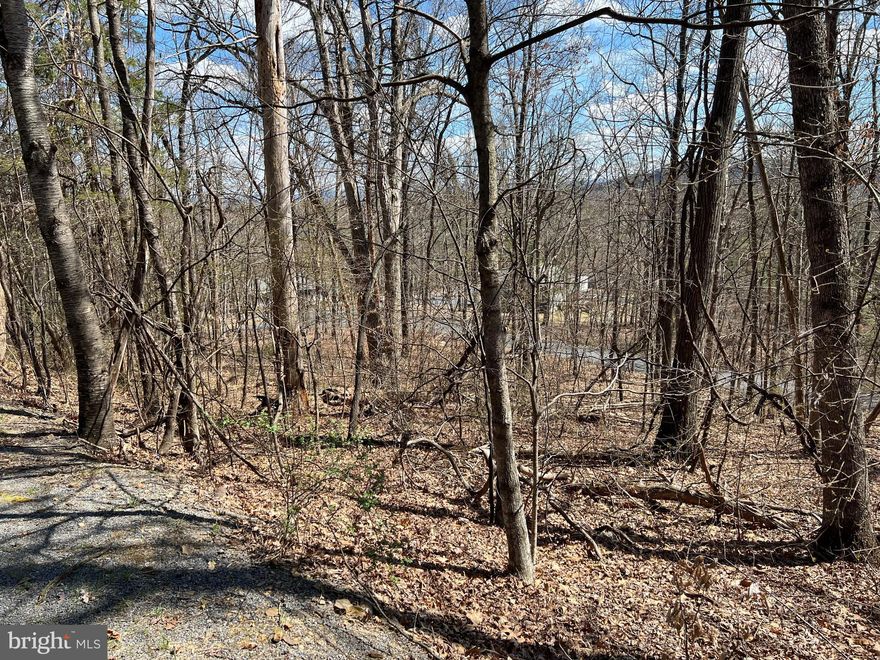 Build your Dream home or Vacation Cabin on this beautiful, gently sloping wooded lot. Close to the Resort and all of its ammenities, yet far enough away from all of the hustle and  bustle to  enjoy the quiet relaxation that the mountains have to offer. Road frontage on both sides of lot. Per my conversation with Stoney Creek Sanitary District, Water hookup and Sewer Hook up is available and starts at 10,000. Schedule Showings on Showing Time.