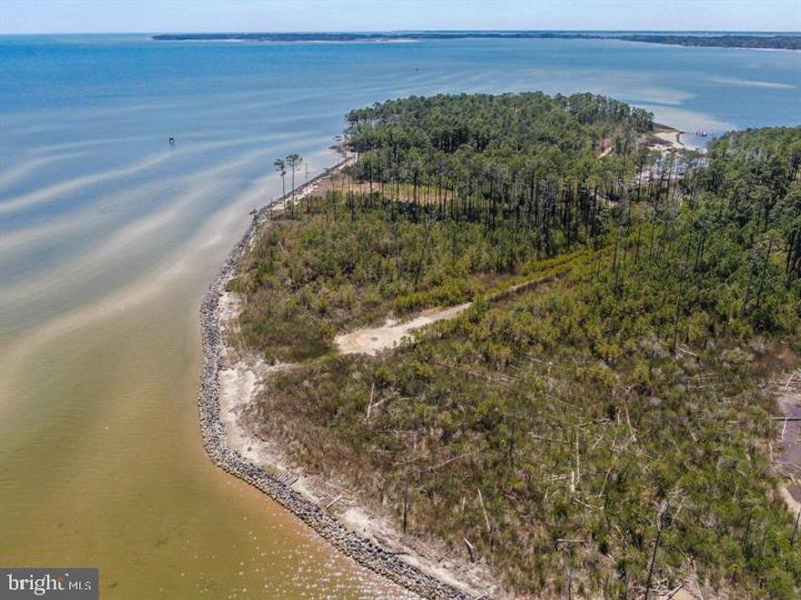 This view is all you need! The property overlooks Fleet's Bay and the Chesapeake, and is waiting to make your waterfront dreams come true. Situated on 11.91 private acres, with a pond, 830 feet of rip rap. Cleared drive onto the property makes its way to the property's expansive water views. Army Corp of Engineers preliminary approval and wetland study have been conducted and available at property showing.   The water off the shore is not very deep, so only something with a 6" draft would be able to utilize access right off the property. There are several marinas very nearby to accommodate your boating needs.  Minutes from all the amenities of Kilmarnock as well. Don't wait any longer!