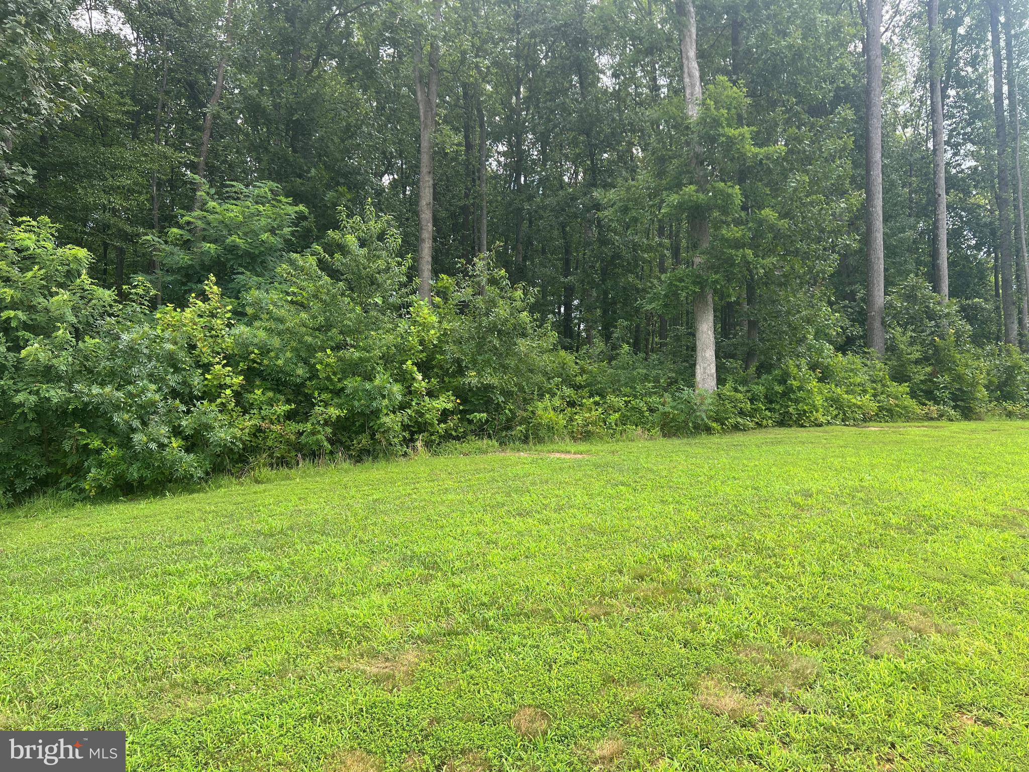 ELK CREEK LANDING - Land