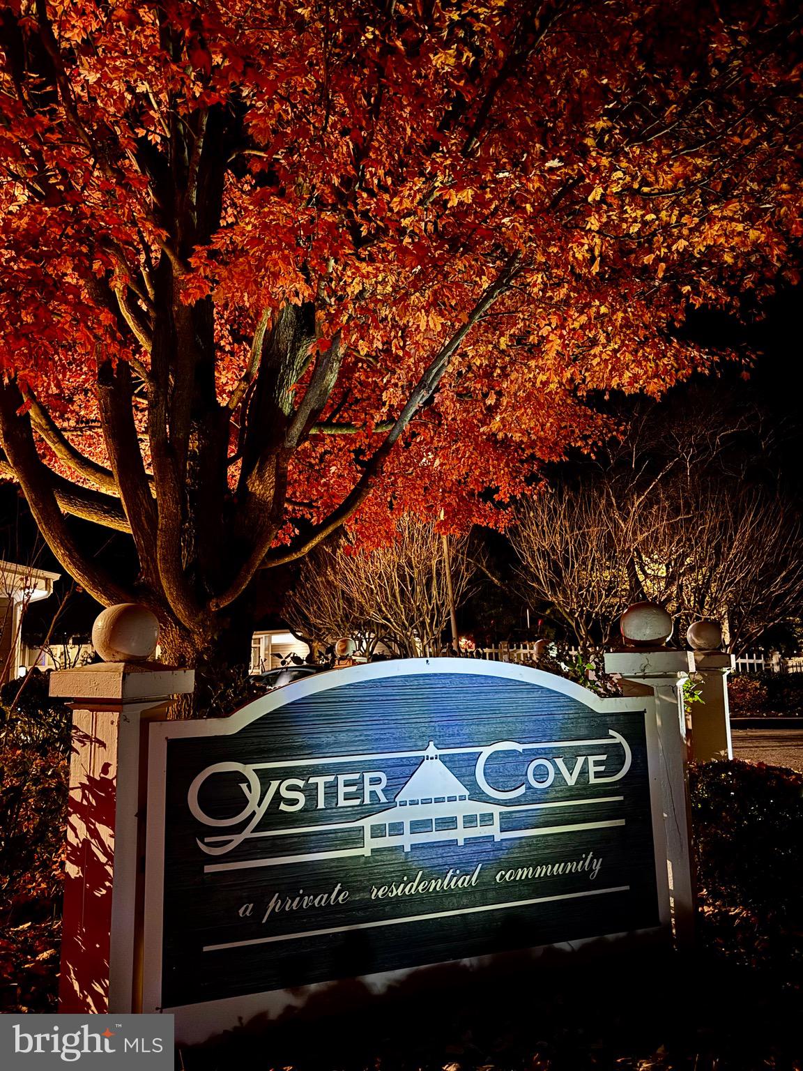 OYSTER COVE - Residential