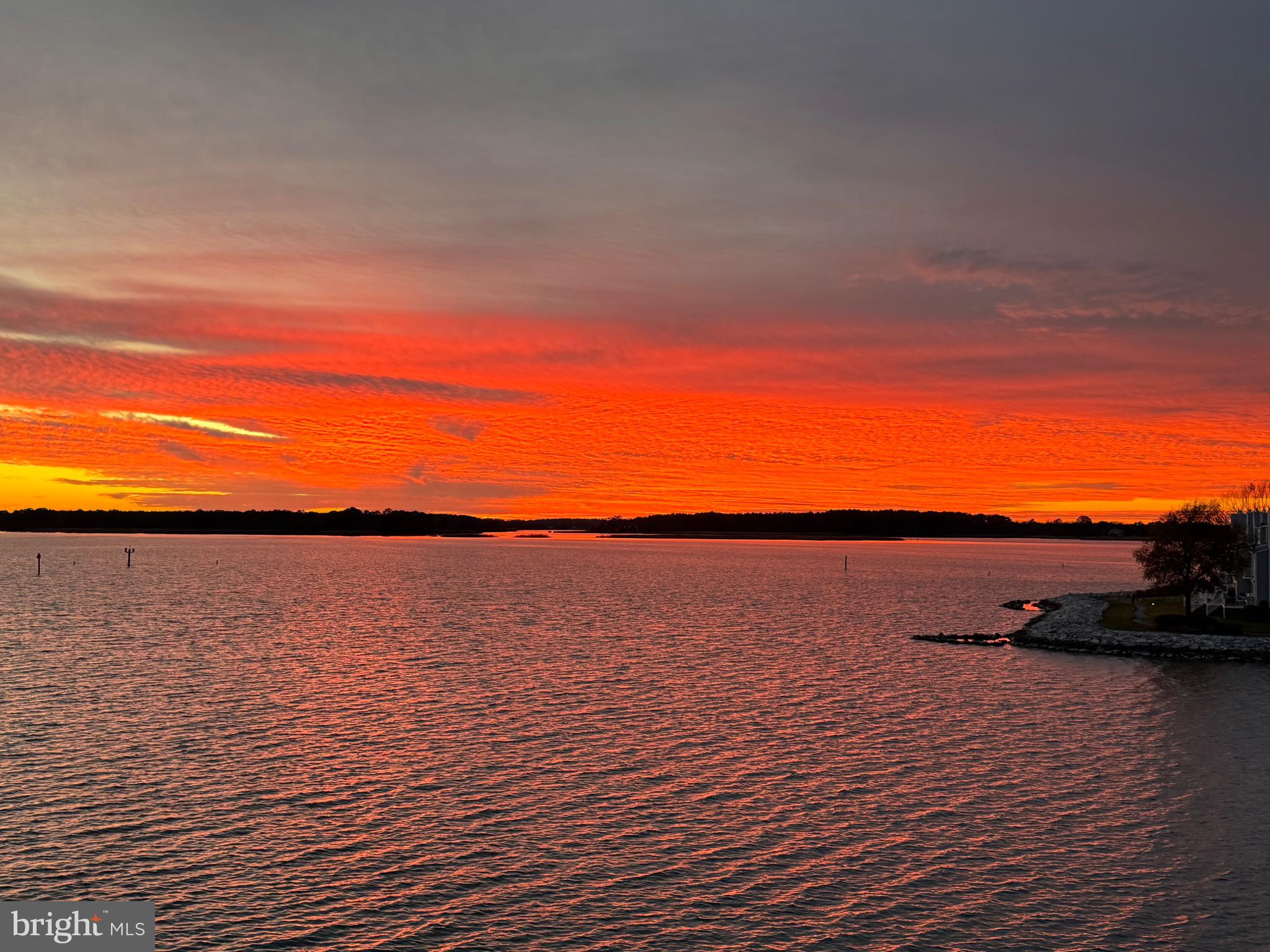 1009 OYSTER COVE DRIVE