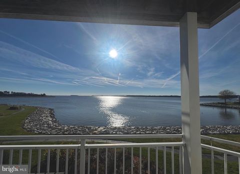 1009 OYSTER COVE DRIVE GRASONVILLE MD 21638