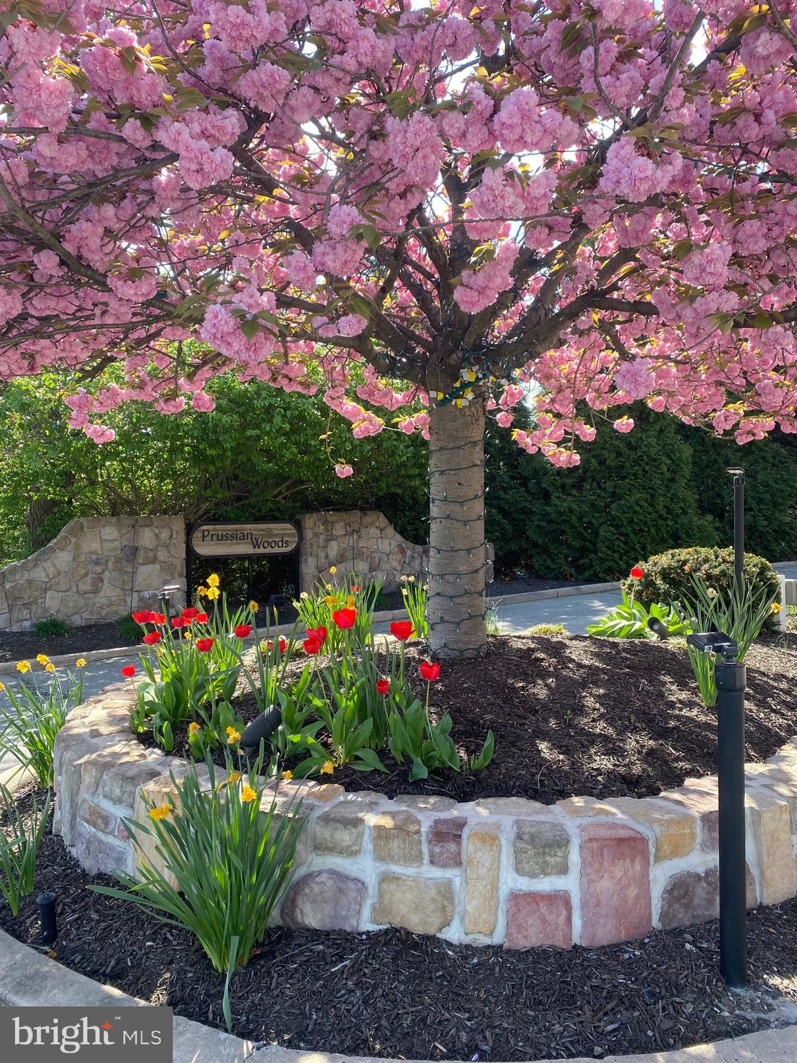 PRUSSIAN WOODS - Residential