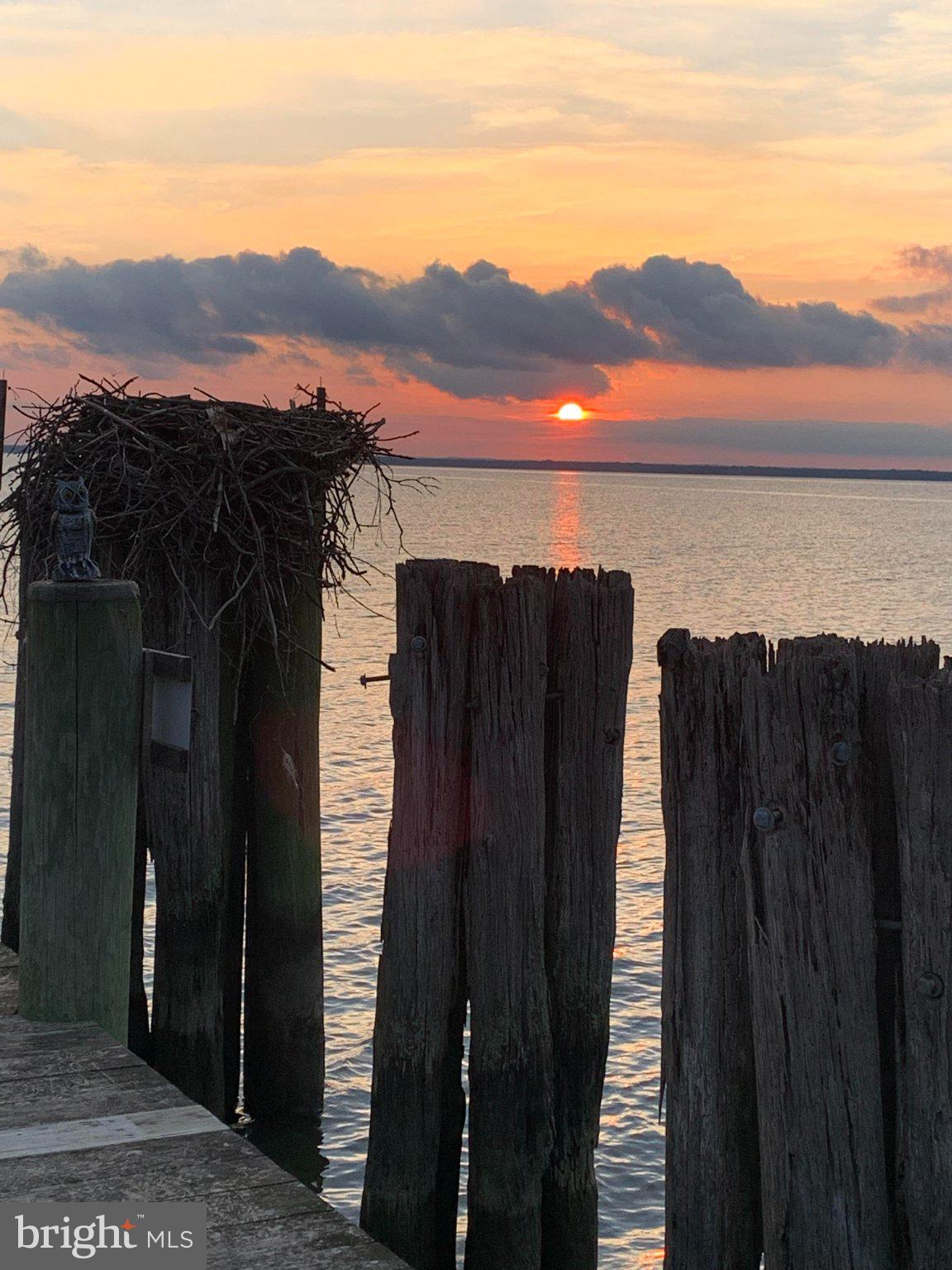 10 ERICSSON AVENUE 33