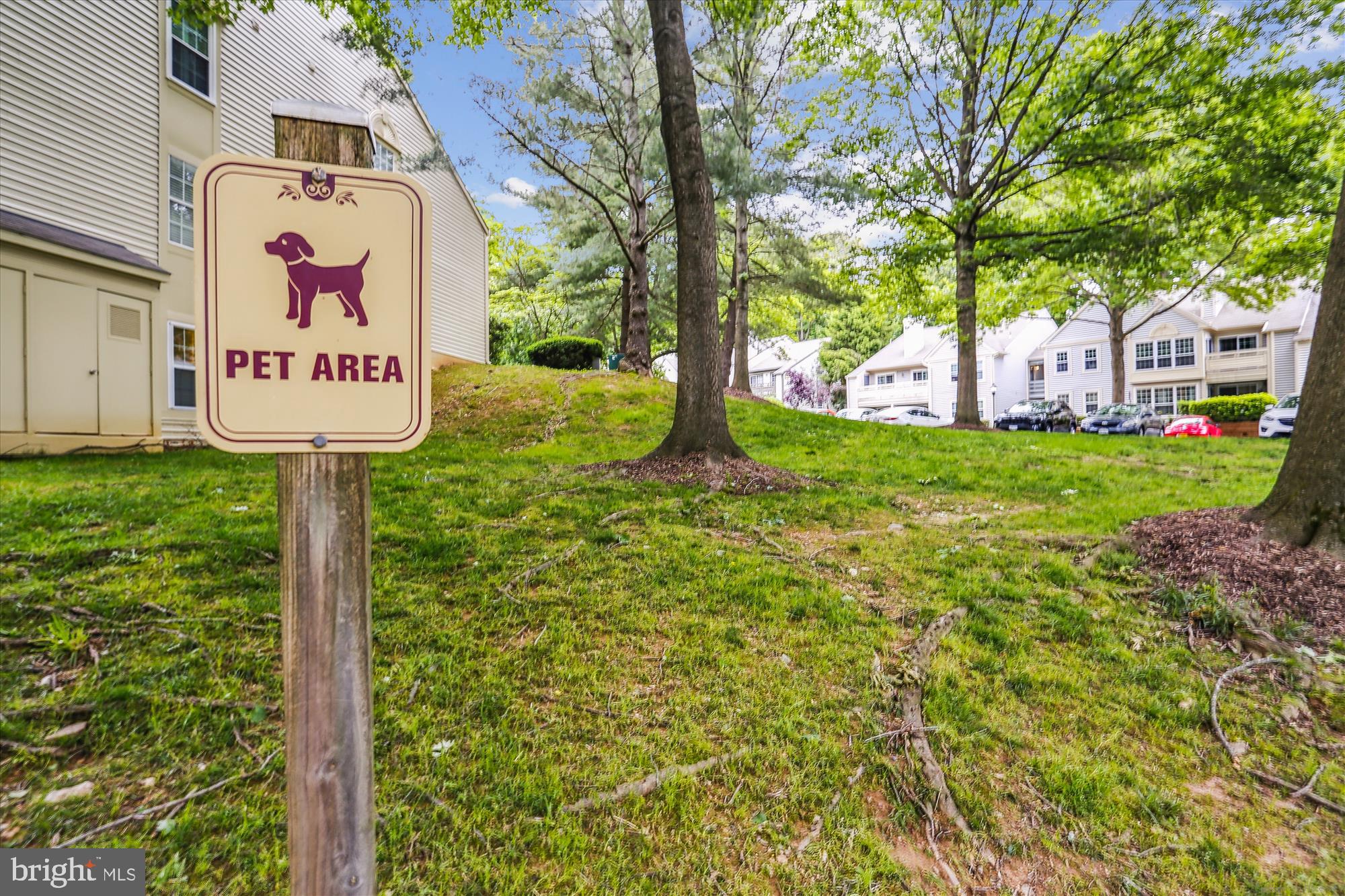 BRISTOL HOUSE - Residential