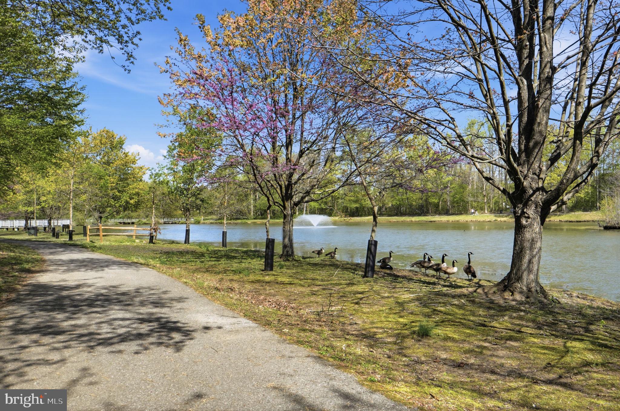 BOWIE TOWERS - Residential