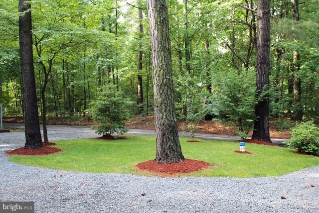 DRUM POINT - Residential