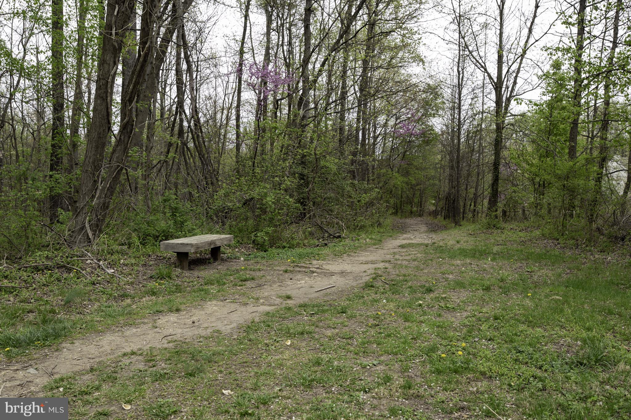 PORT POTOMAC - Residential