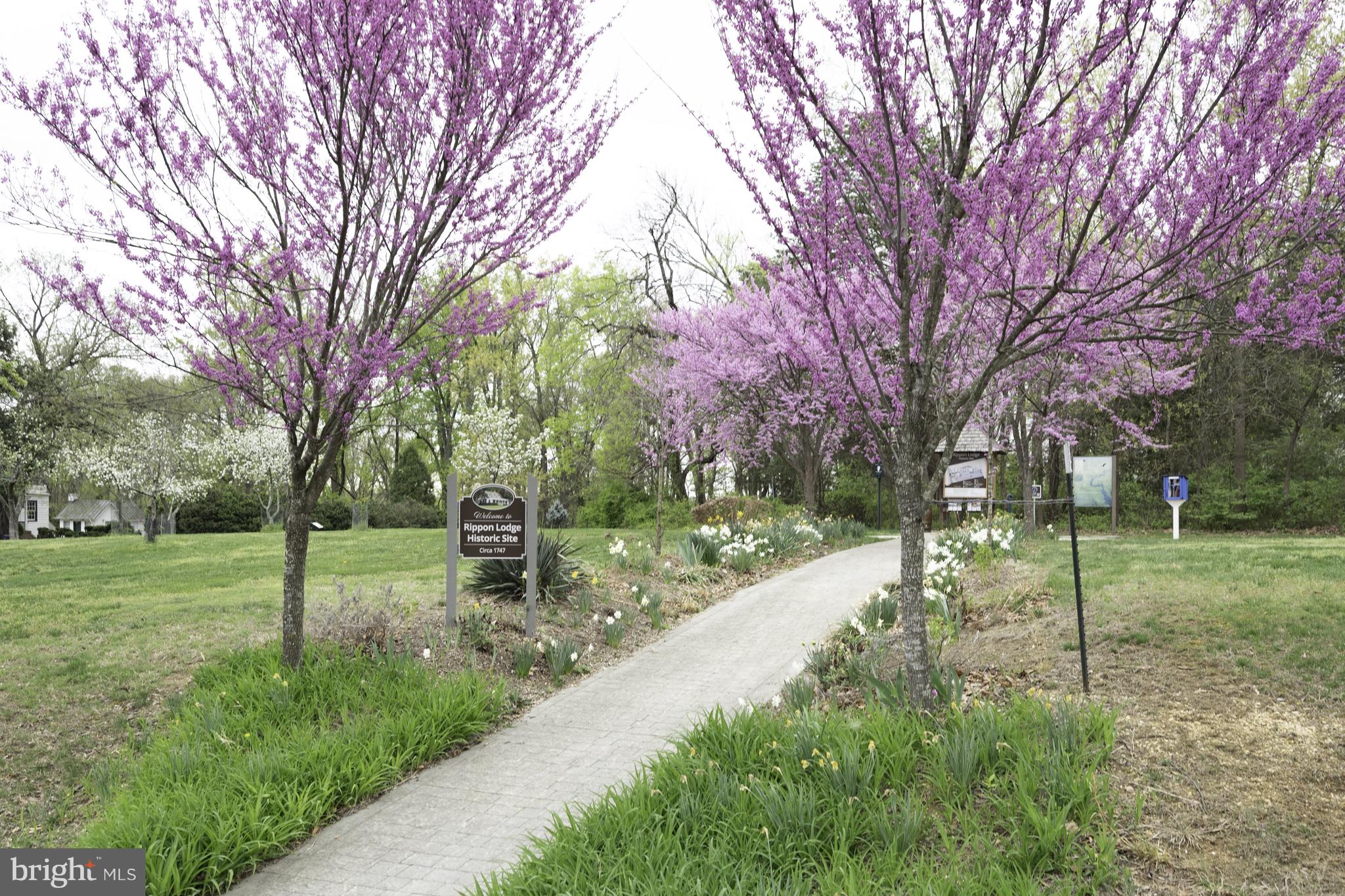 PORT POTOMAC - Residential