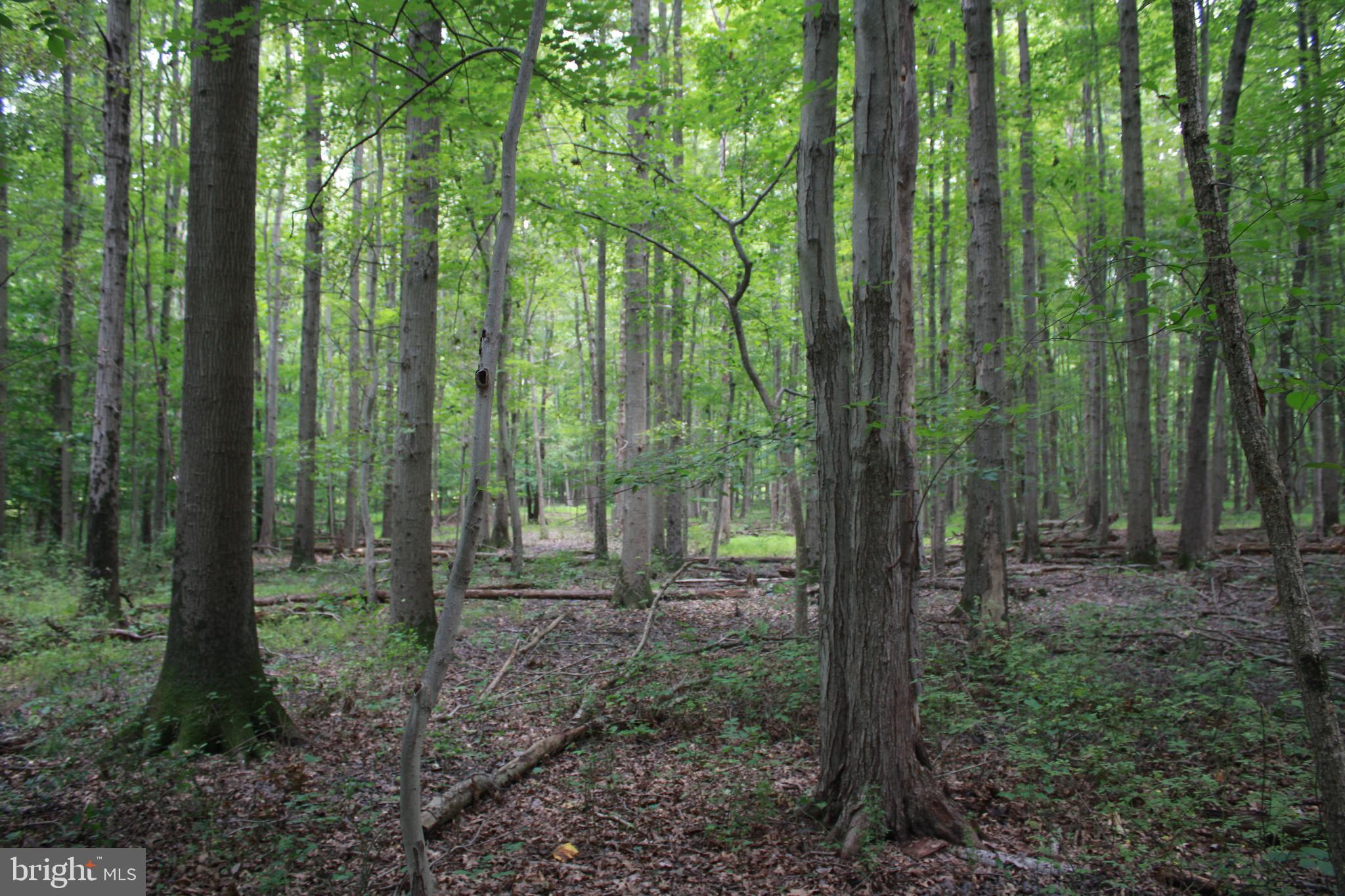 CONOWINGO ROAD