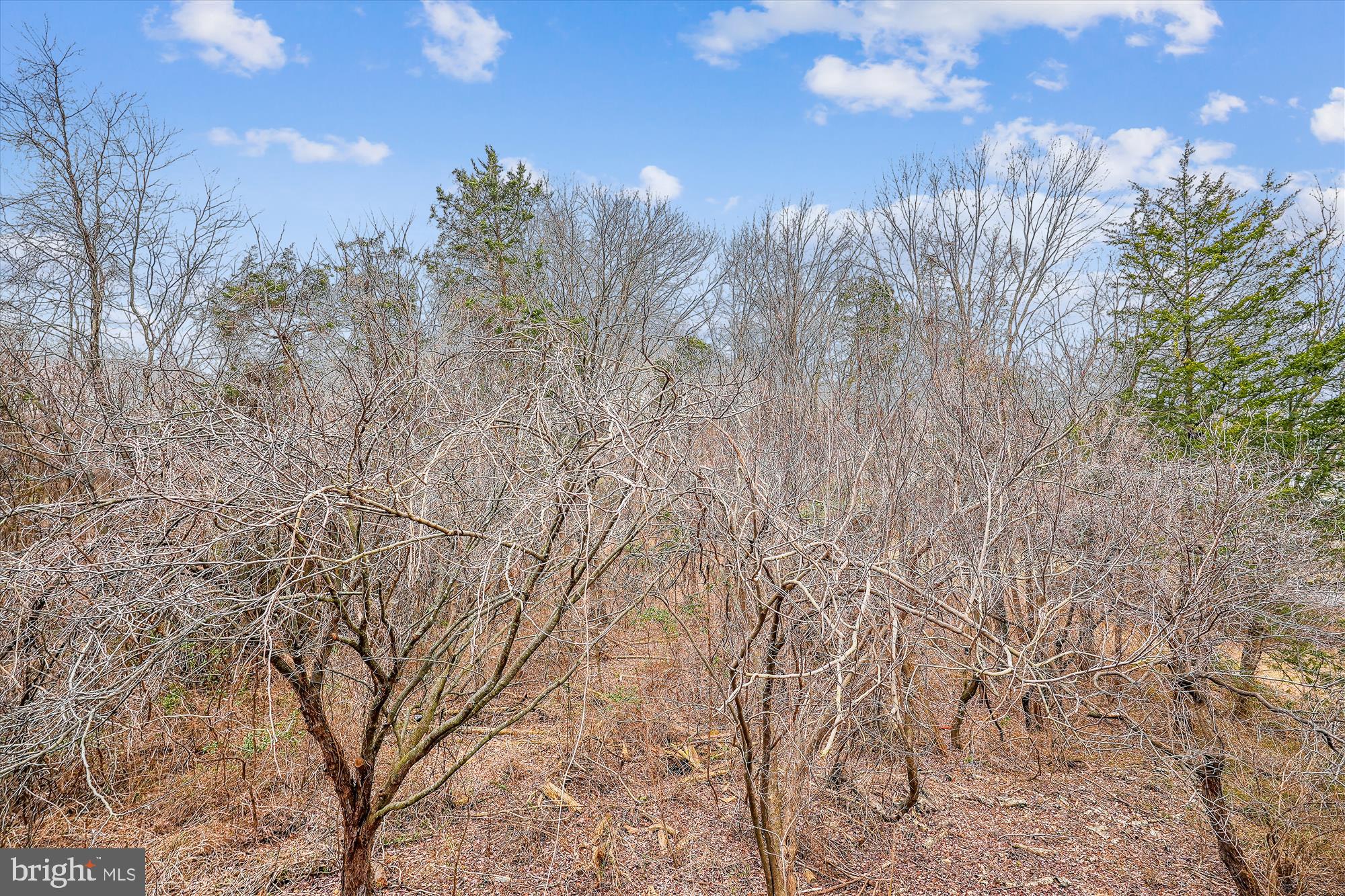 POTOMAC LAKES - Residential