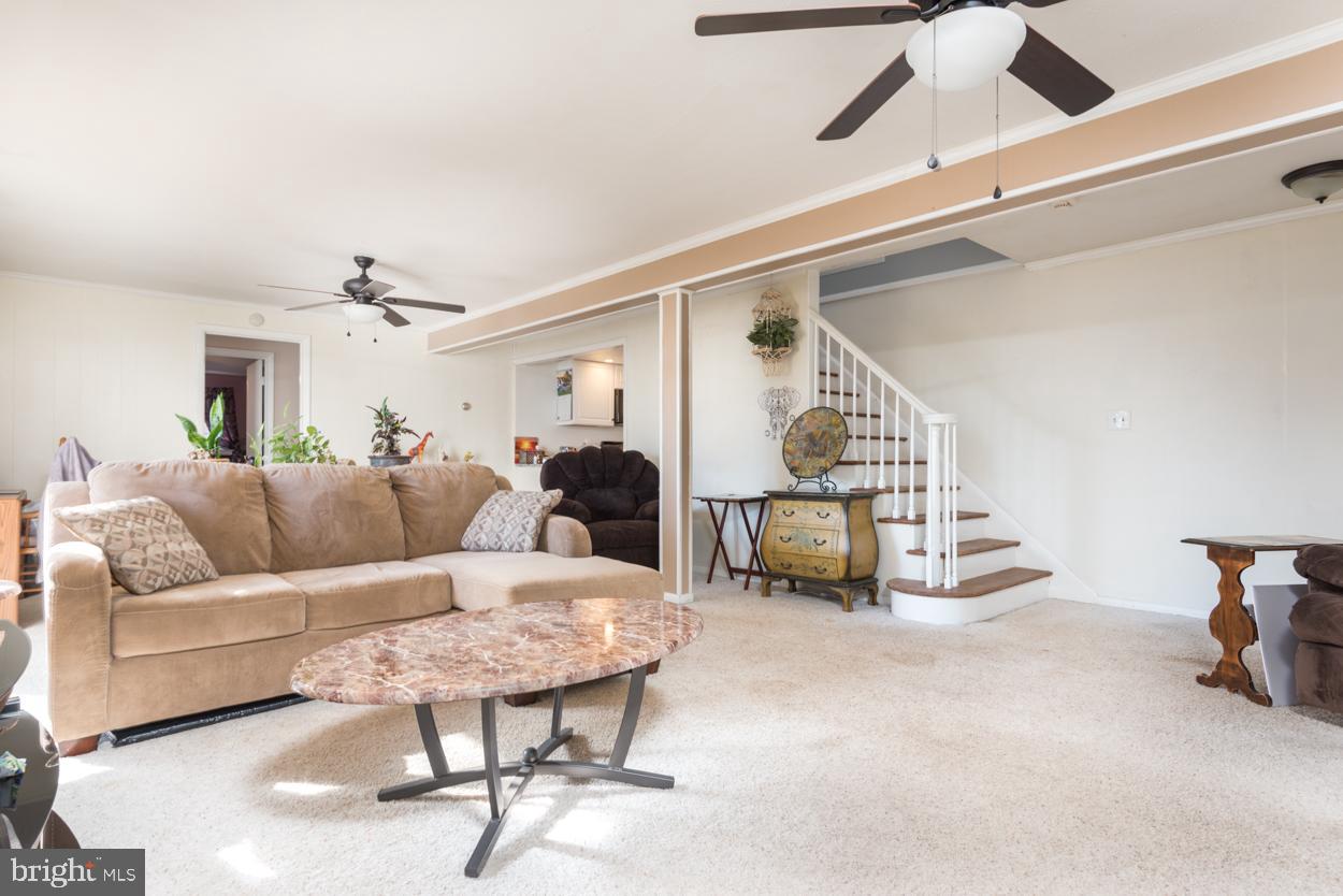 BROADVIEW ACRES - Residential