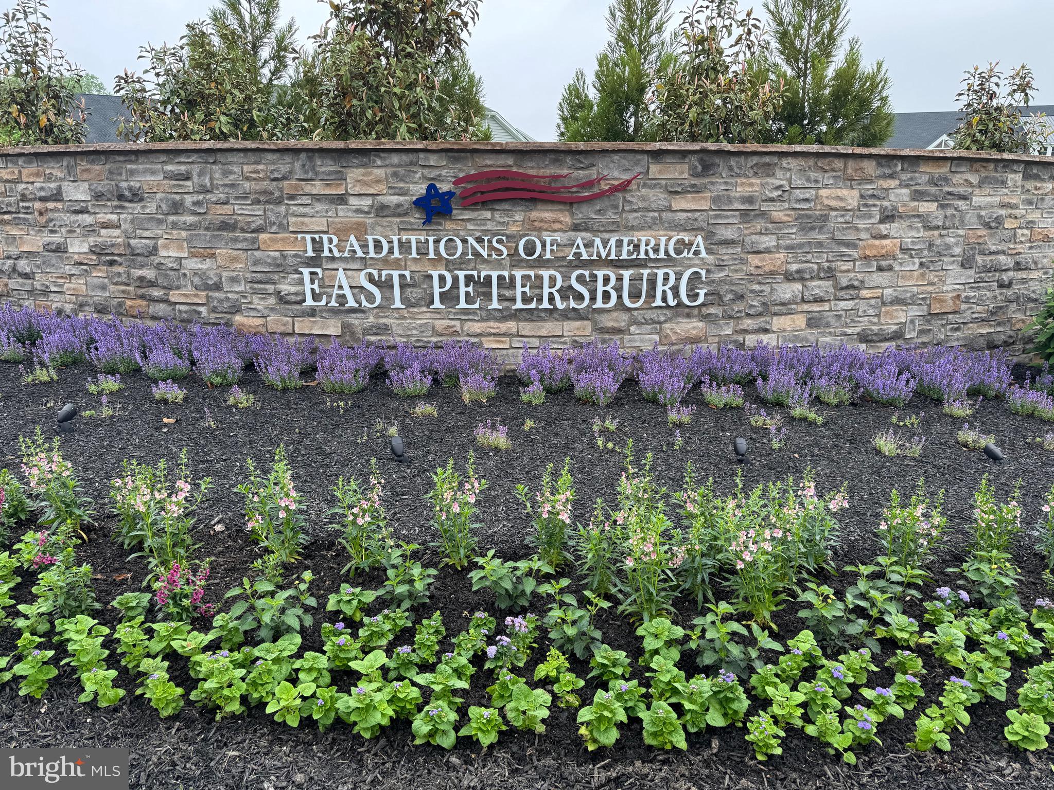 TRADITIONS OF AMERICA AT EAST PETERSBURG - Residential