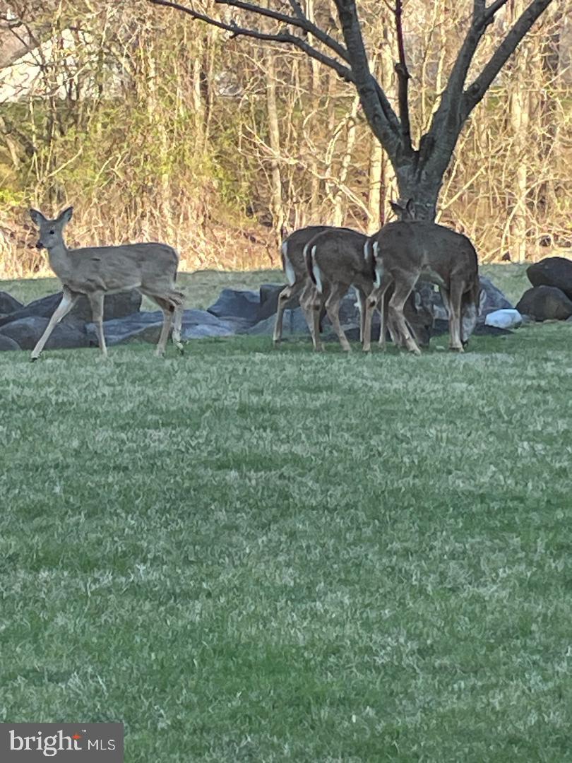 CREEKSIDE VILLAGE - Residential