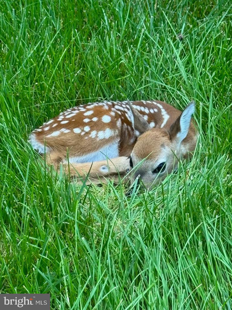 FARMS AT HUNTING CREEK - Residential