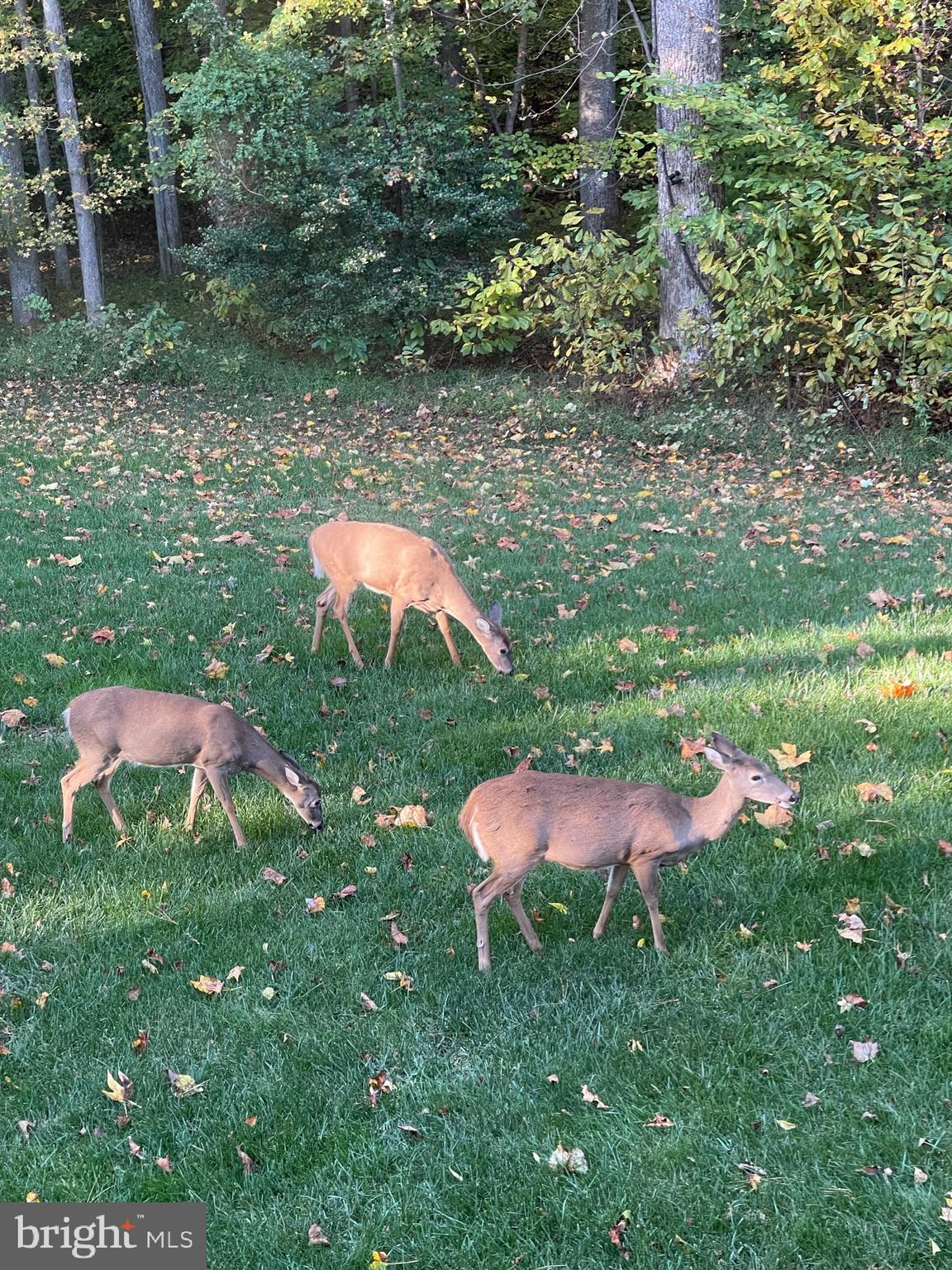 FARMS AT HUNTING CREEK - Residential