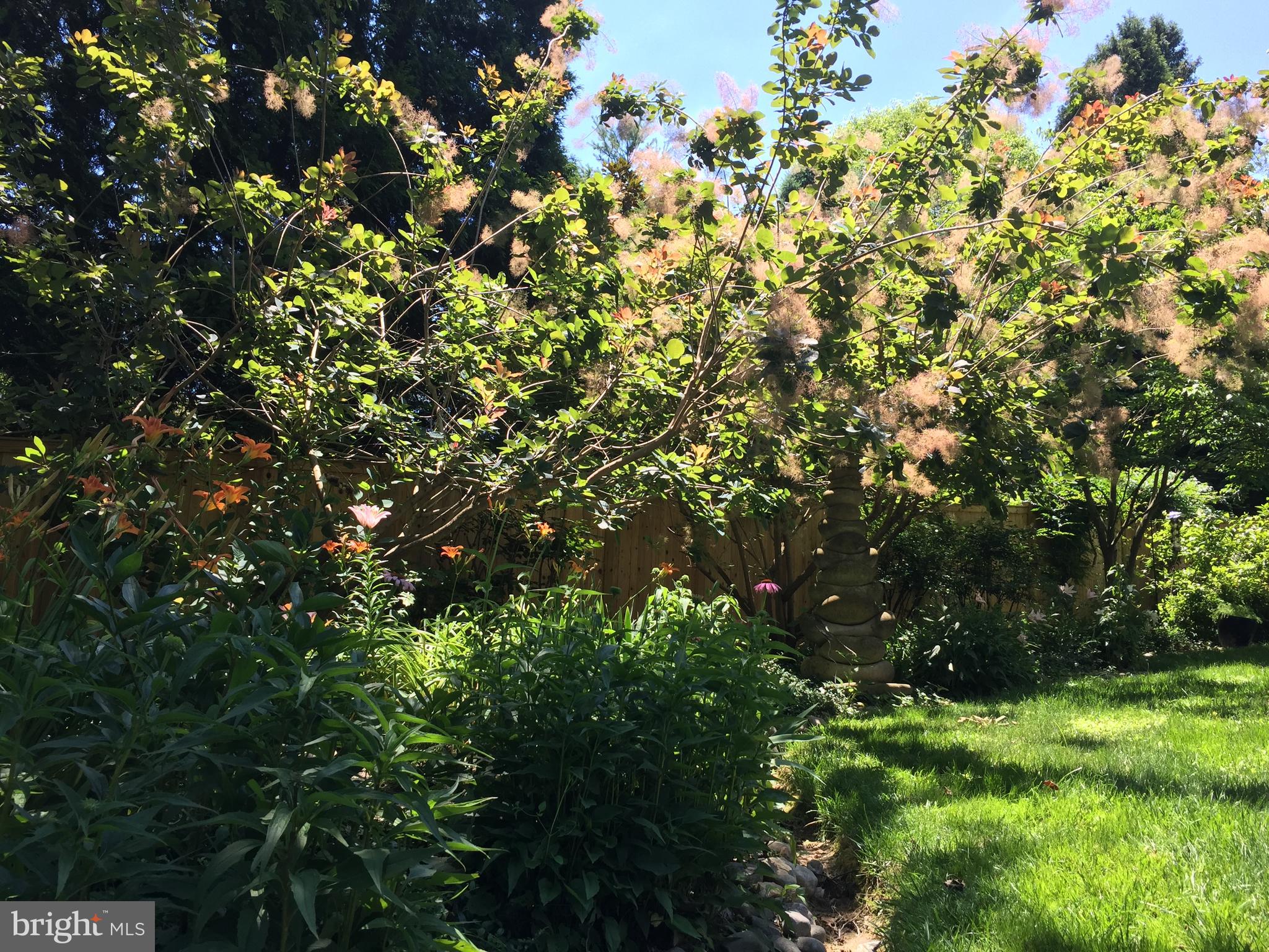 CHEVY CHASE - Residential Lease