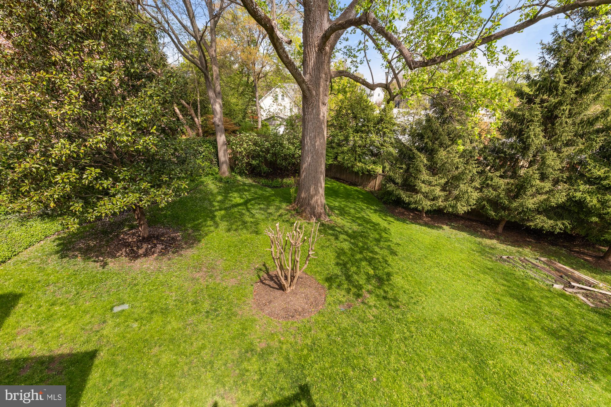 CHEVY CHASE - Residential Lease