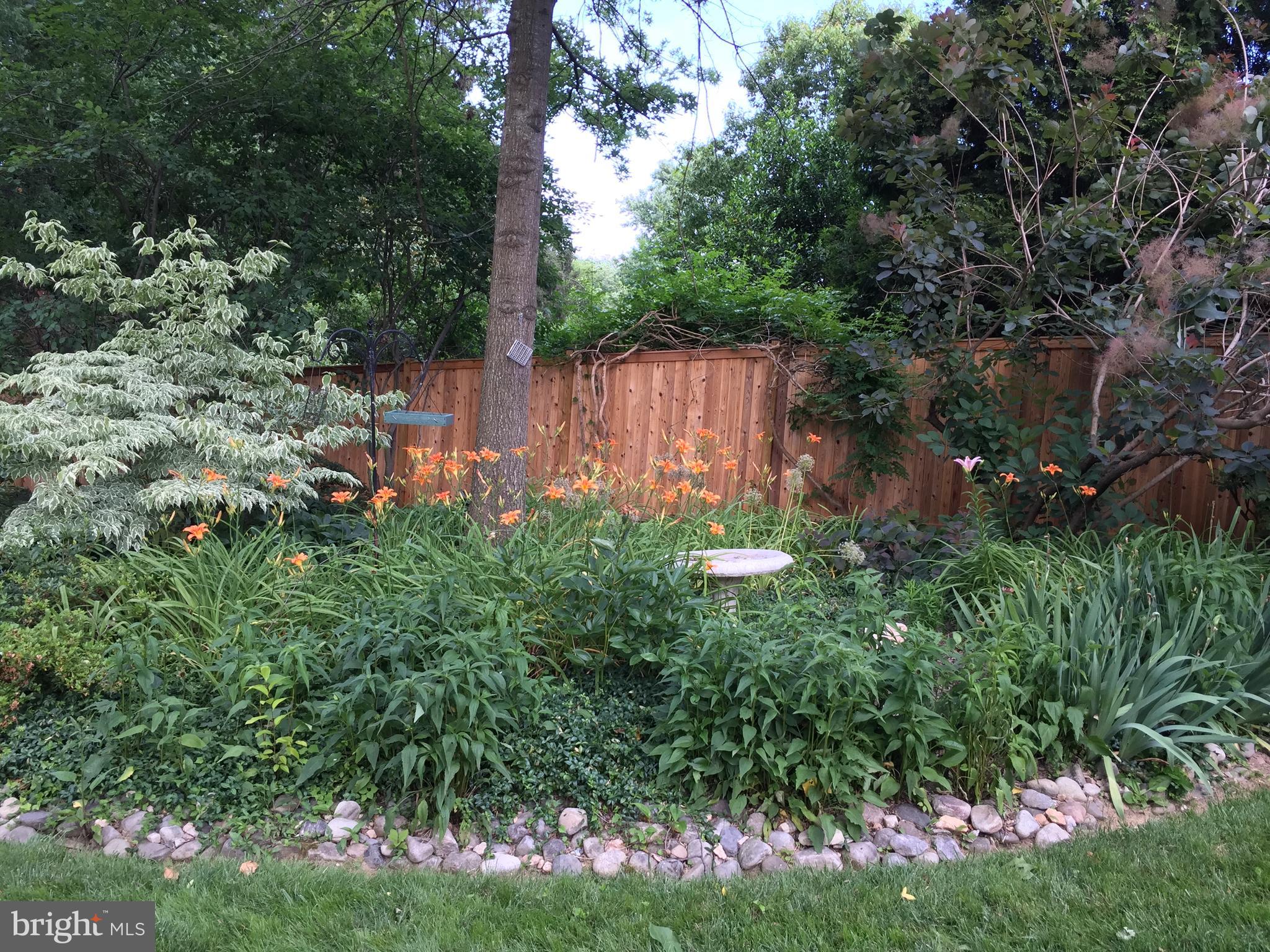 CHEVY CHASE - Residential Lease