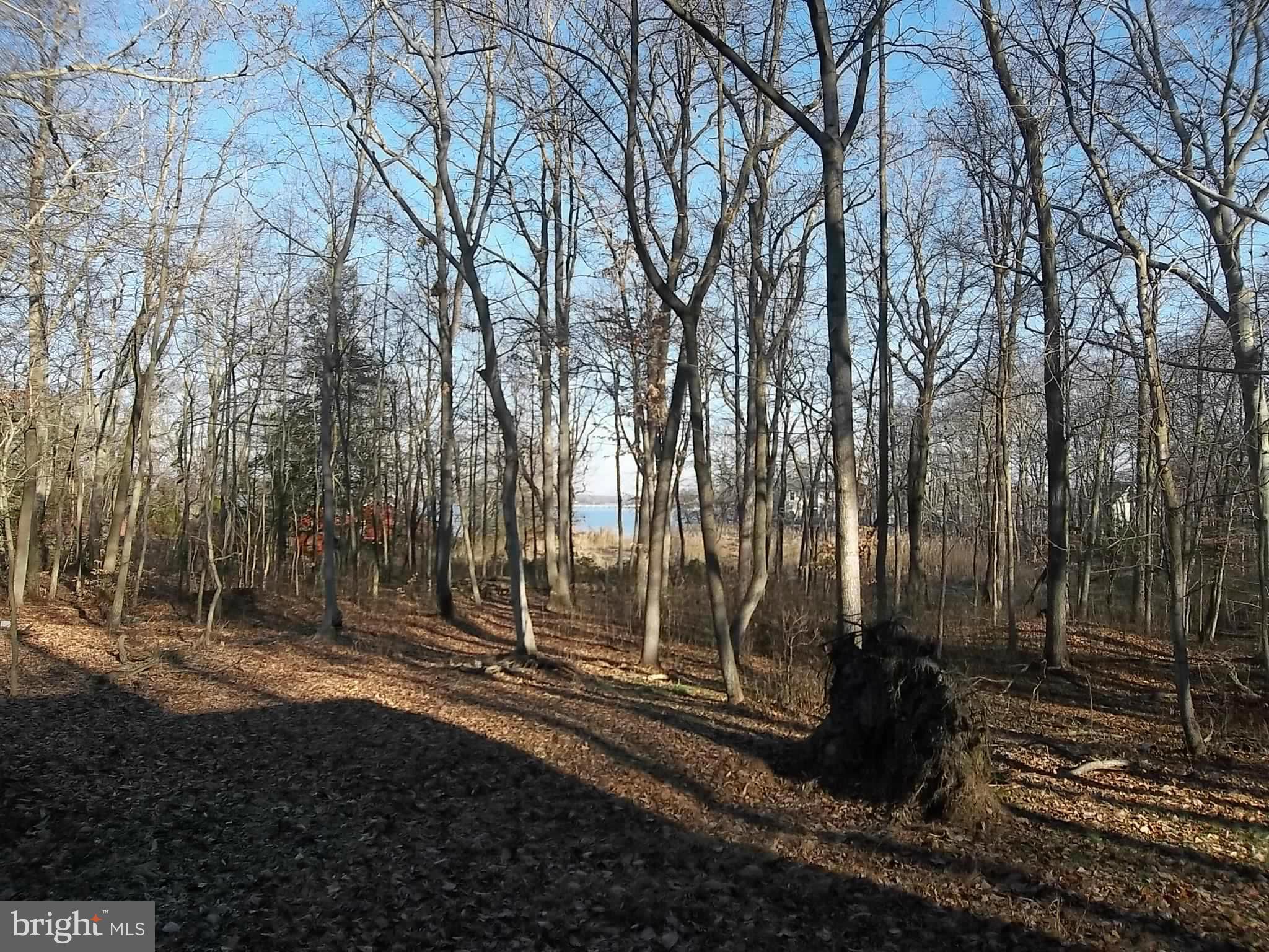 BLAIR SHORE - Residential