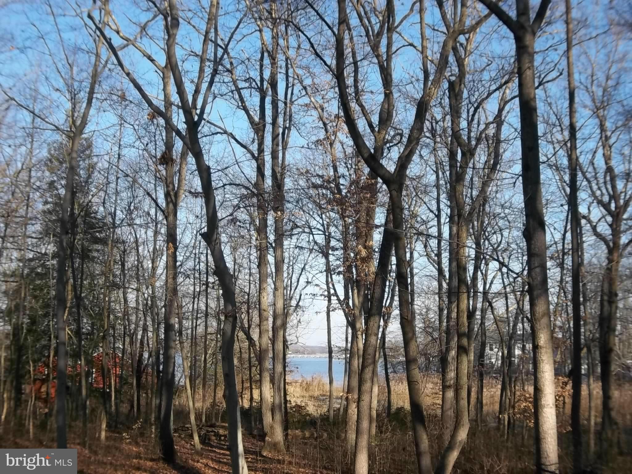 BLAIR SHORE - Residential