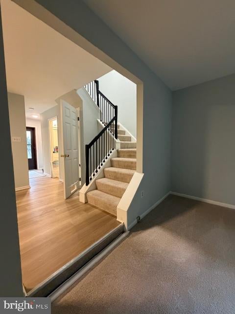 5420 WHITE MANE SW