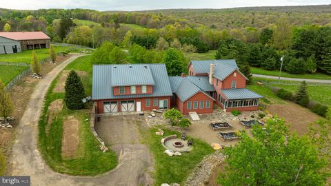 3287 MAYNARDIER RIDGE ROAD GRANTSVILLE MD 21536