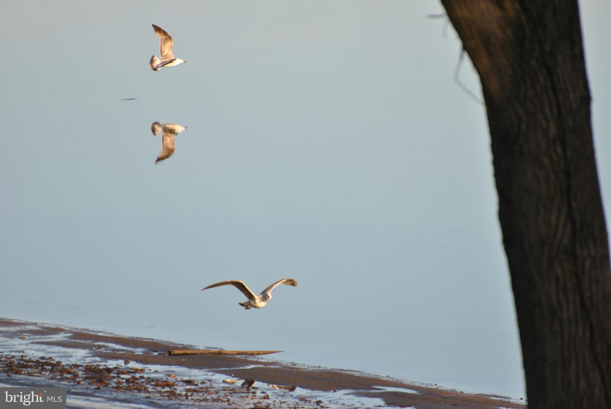 RIVERFRONT - Residential