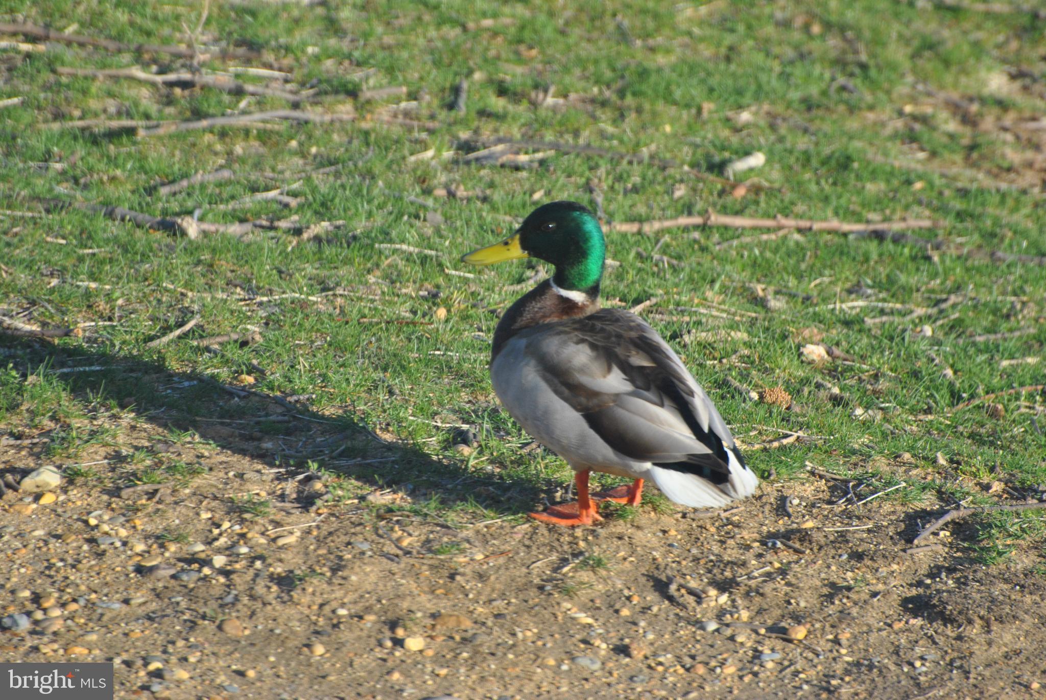 RIVERFRONT - Residential