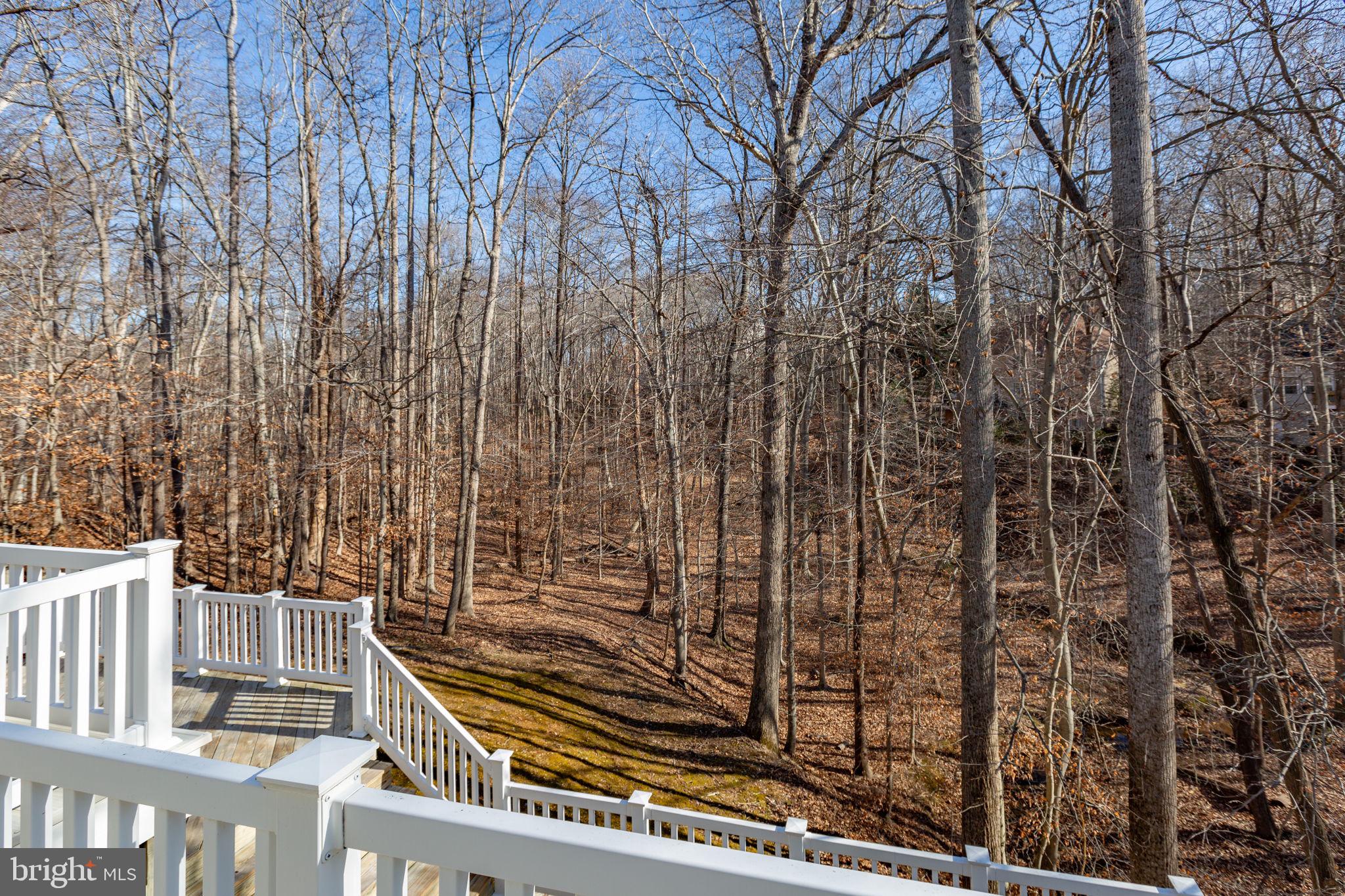 HILLS AT SNOWDEN - Residential