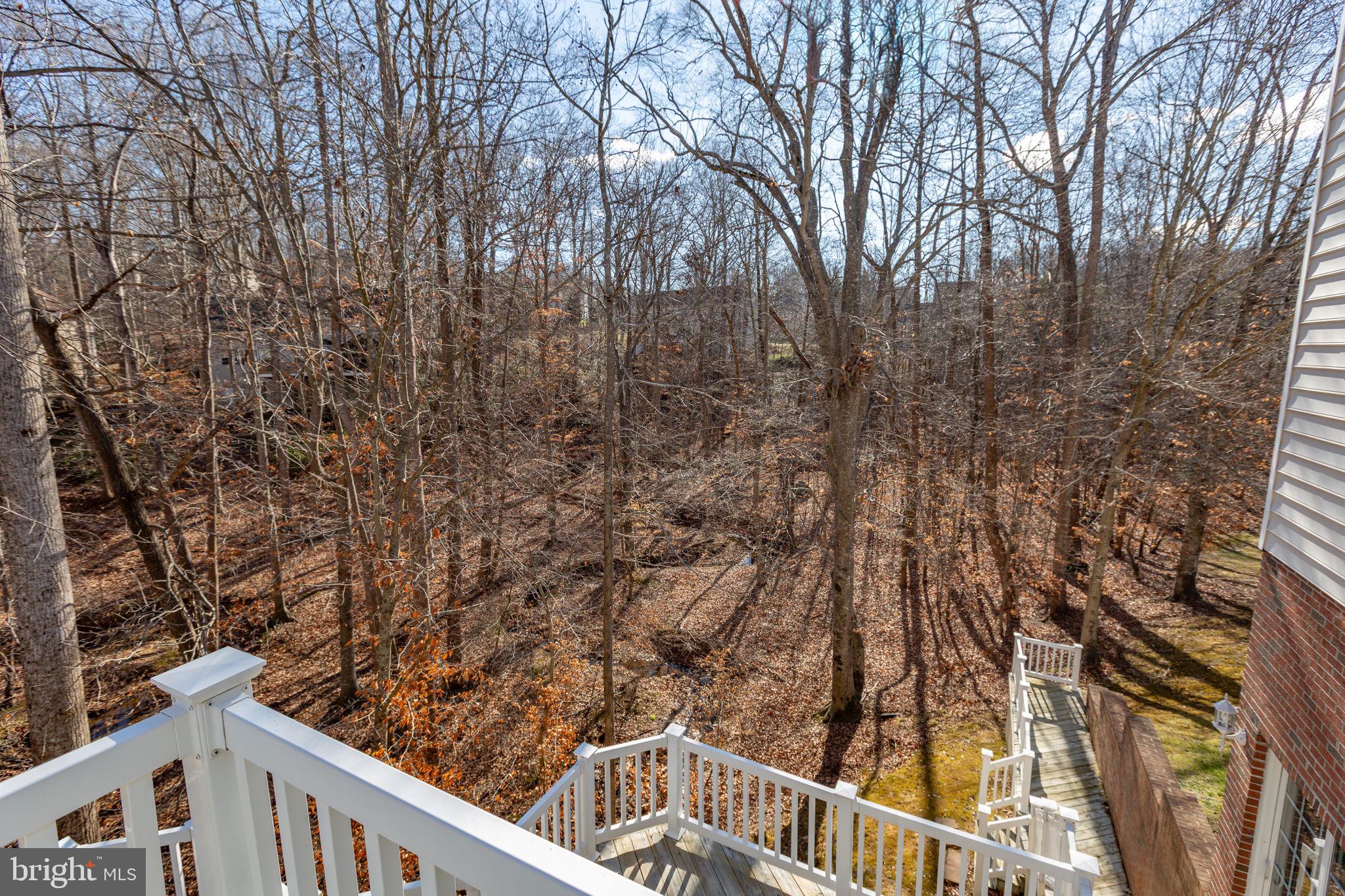 HILLS AT SNOWDEN - Residential