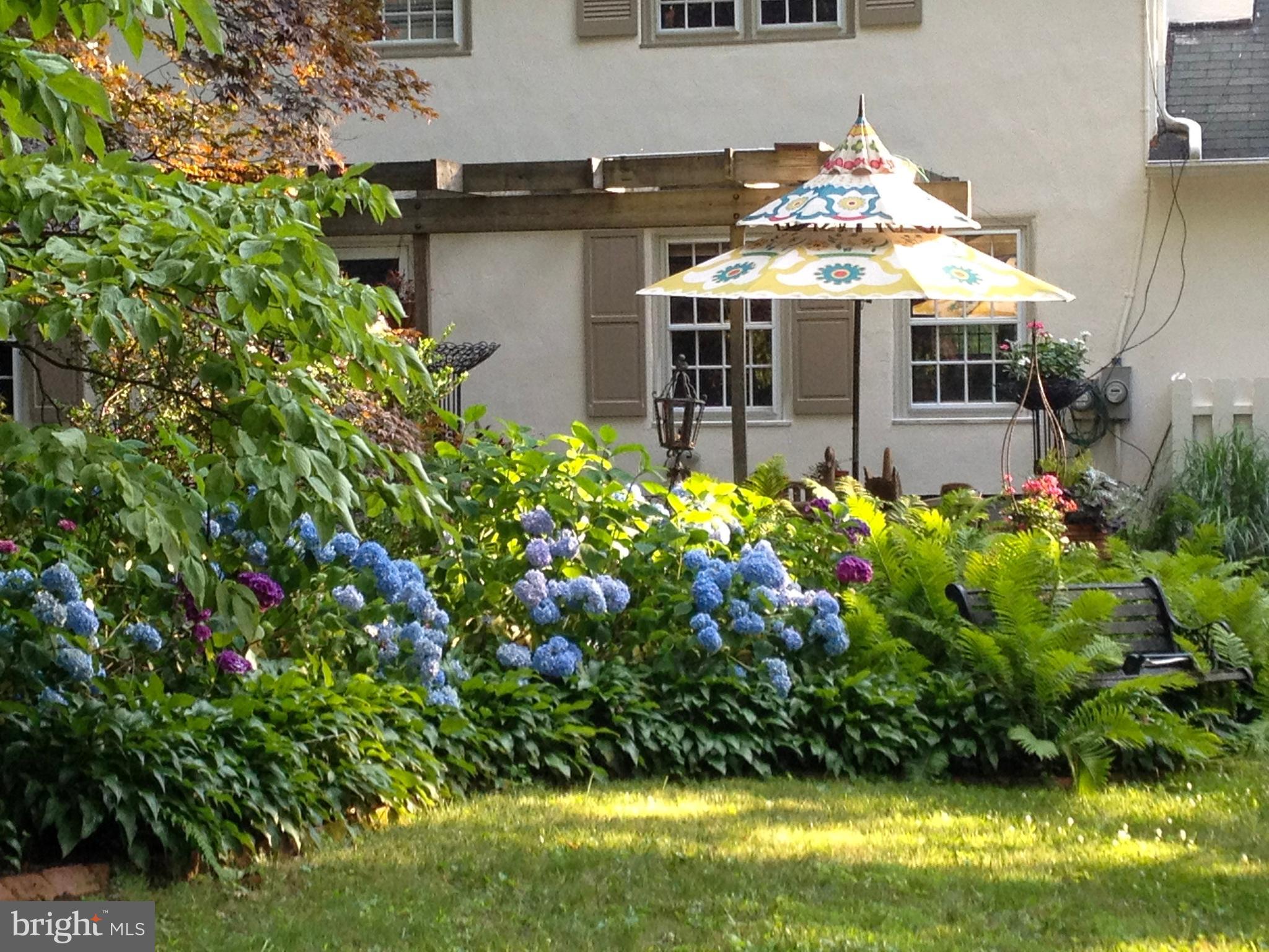 SHAND TRACT - Residential