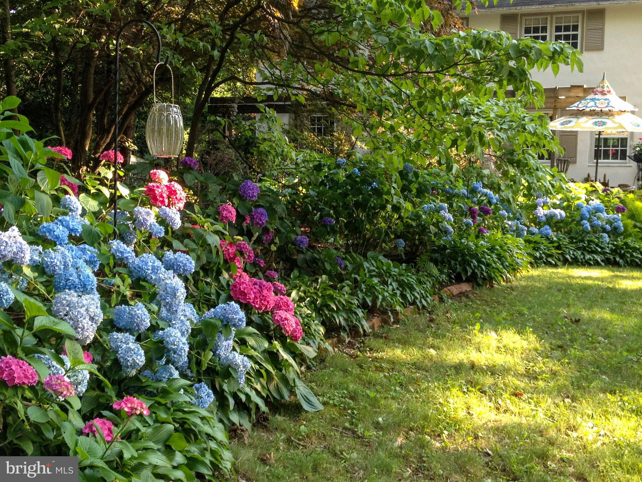 SHAND TRACT - Residential