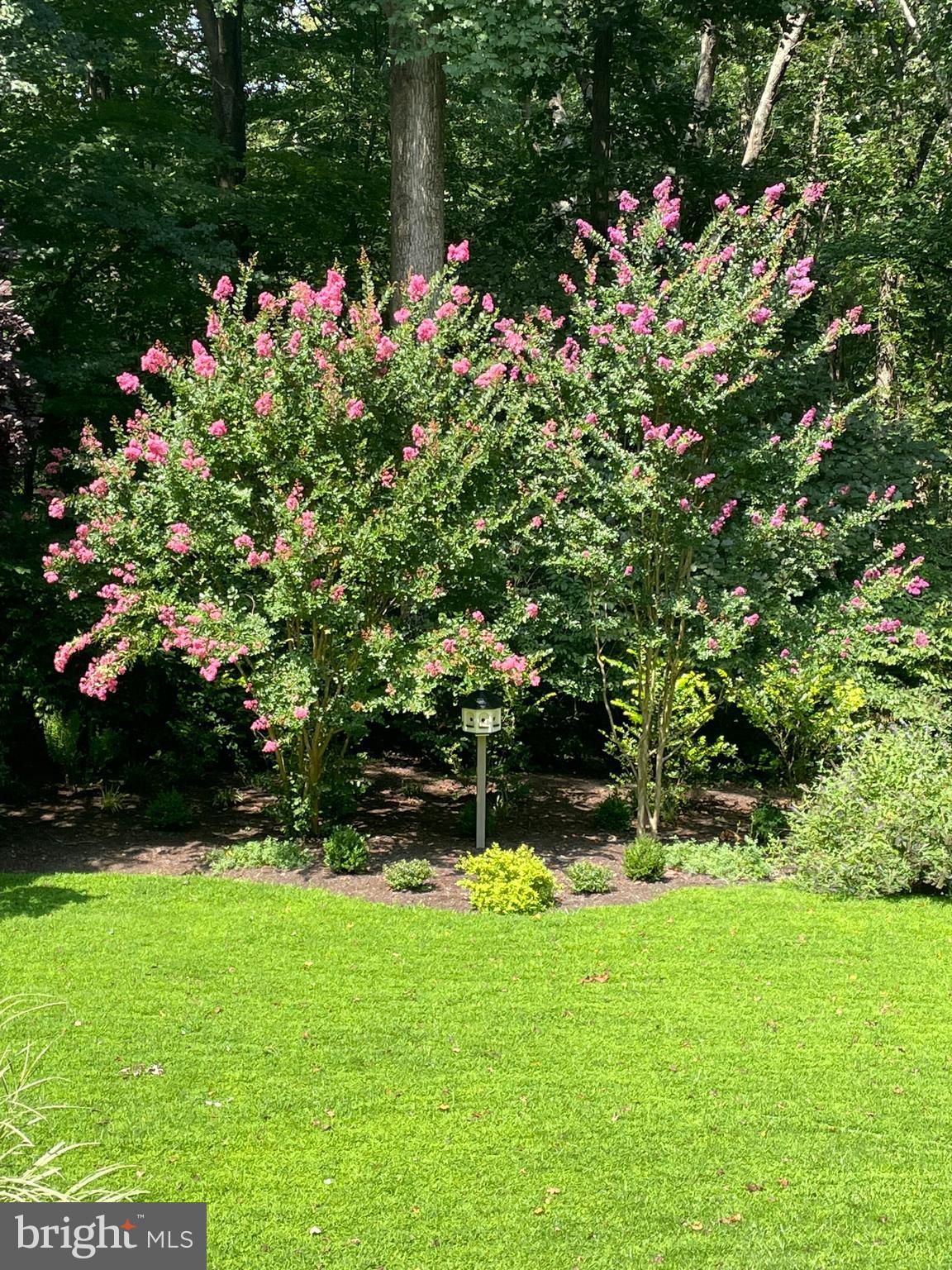 MONKTON - Residential