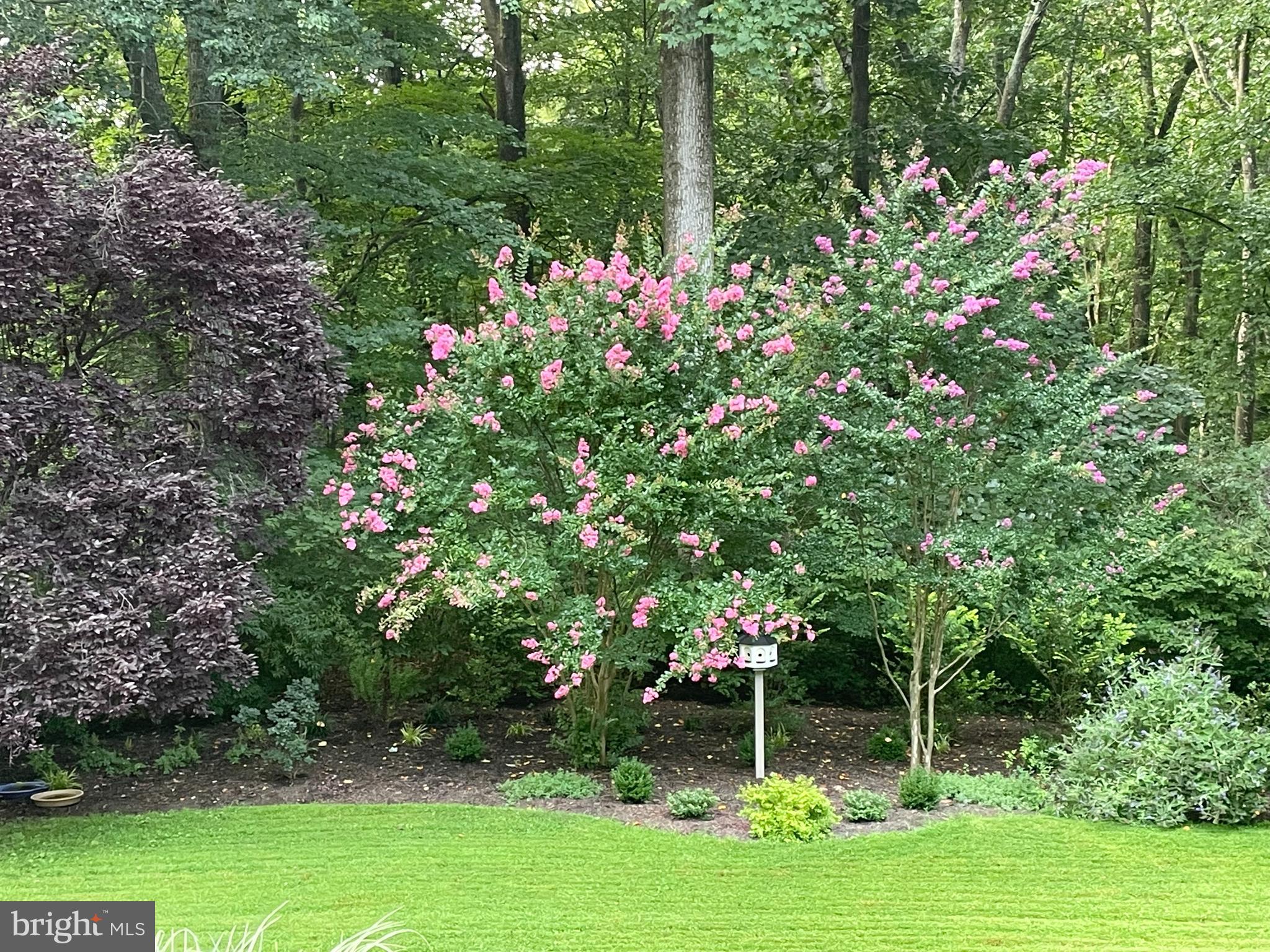 MONKTON - Residential