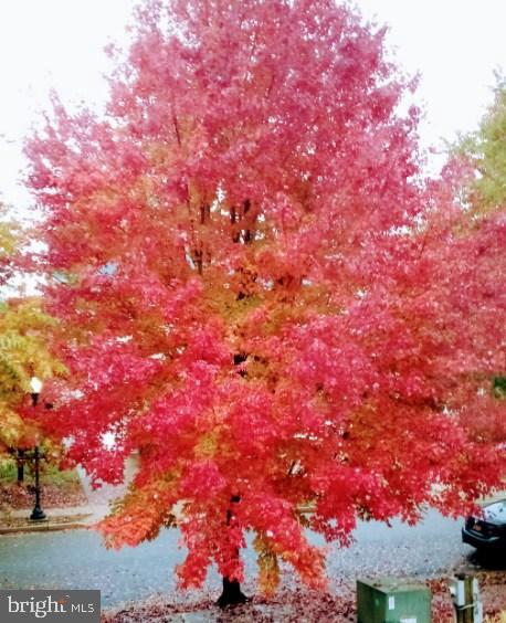 OAK HOLLOW - Residential