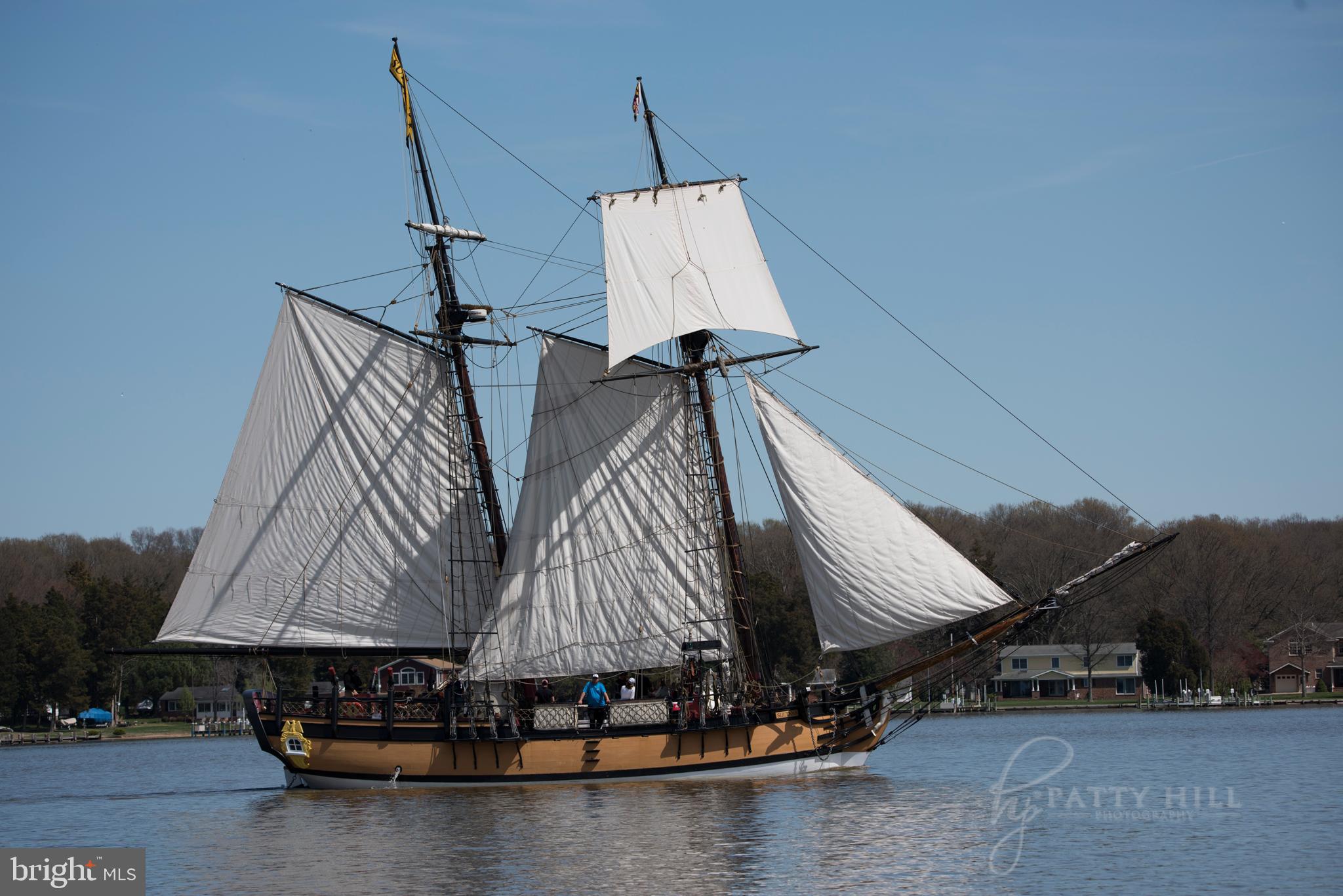 OAK HOLLOW - Residential