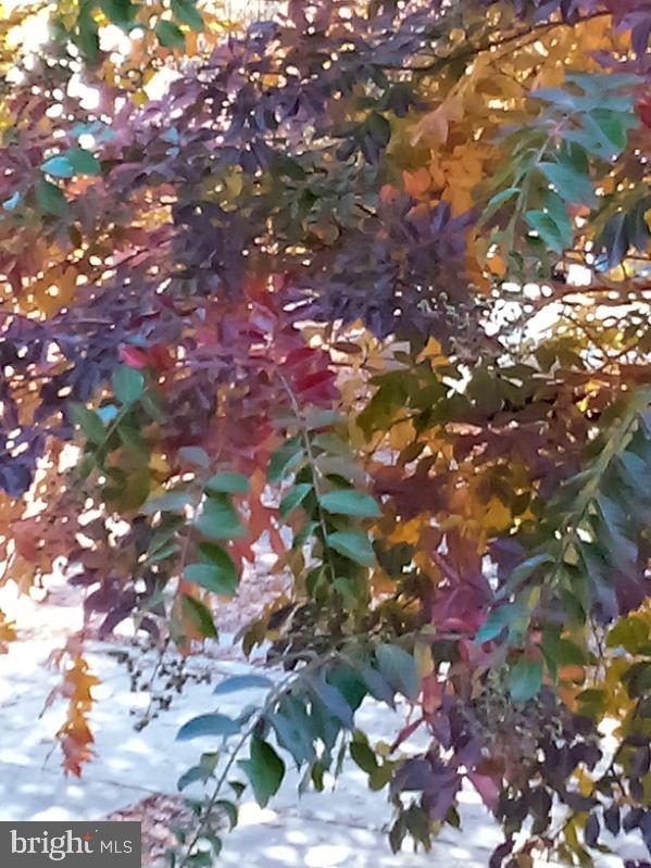 OAK HOLLOW - Residential