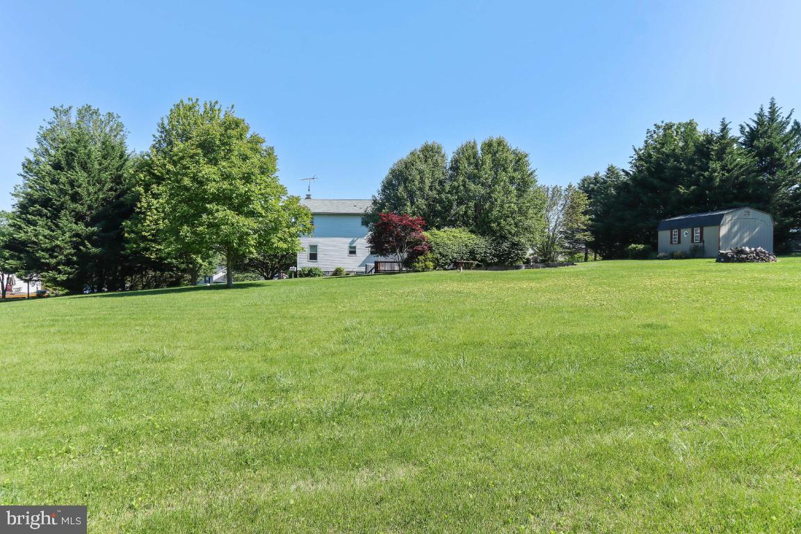 WALNUT HILL - Residential