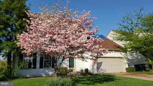 10141 ALLWOOD COURT