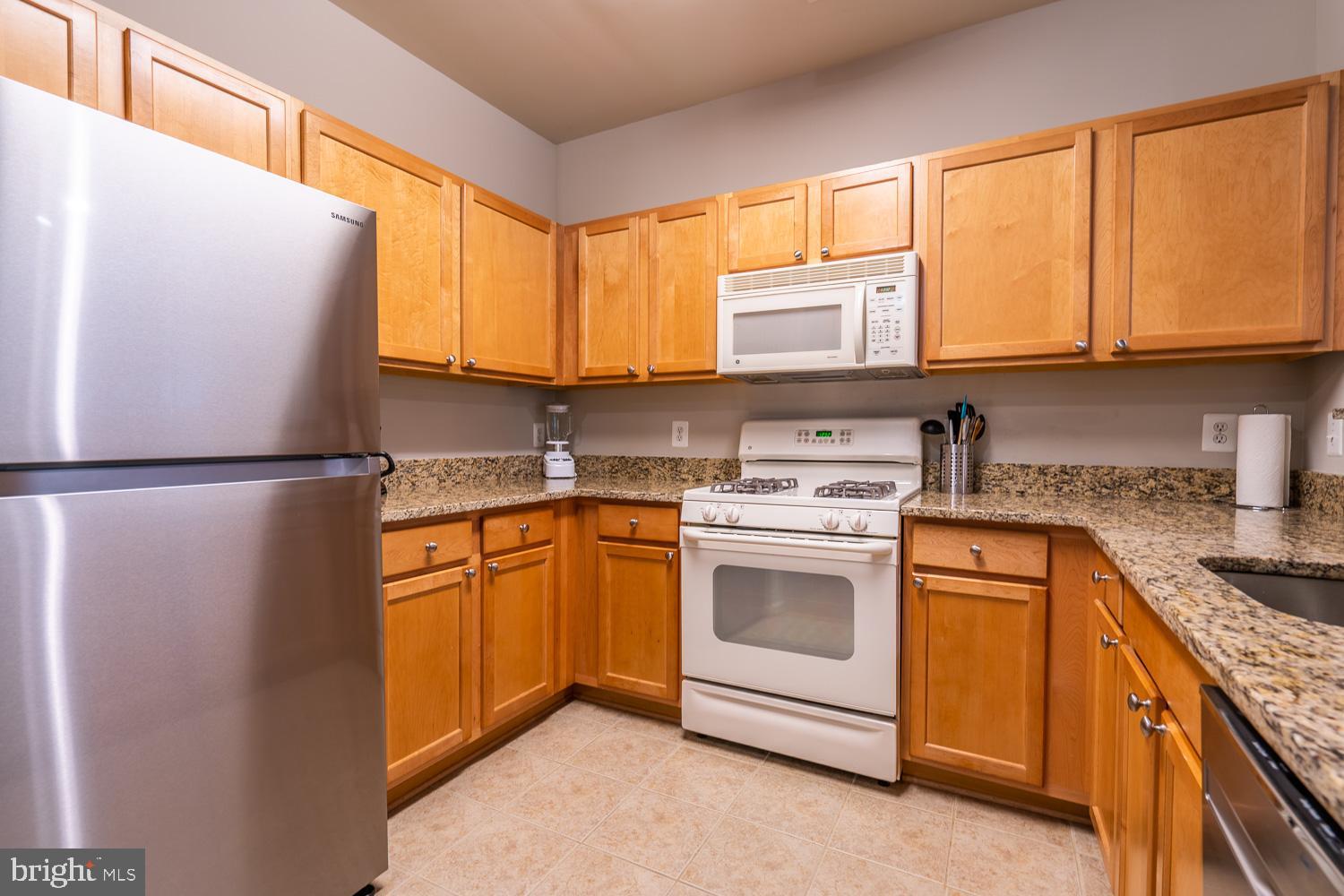 SAVOY AT RESTON TOWN CENTER - Residential