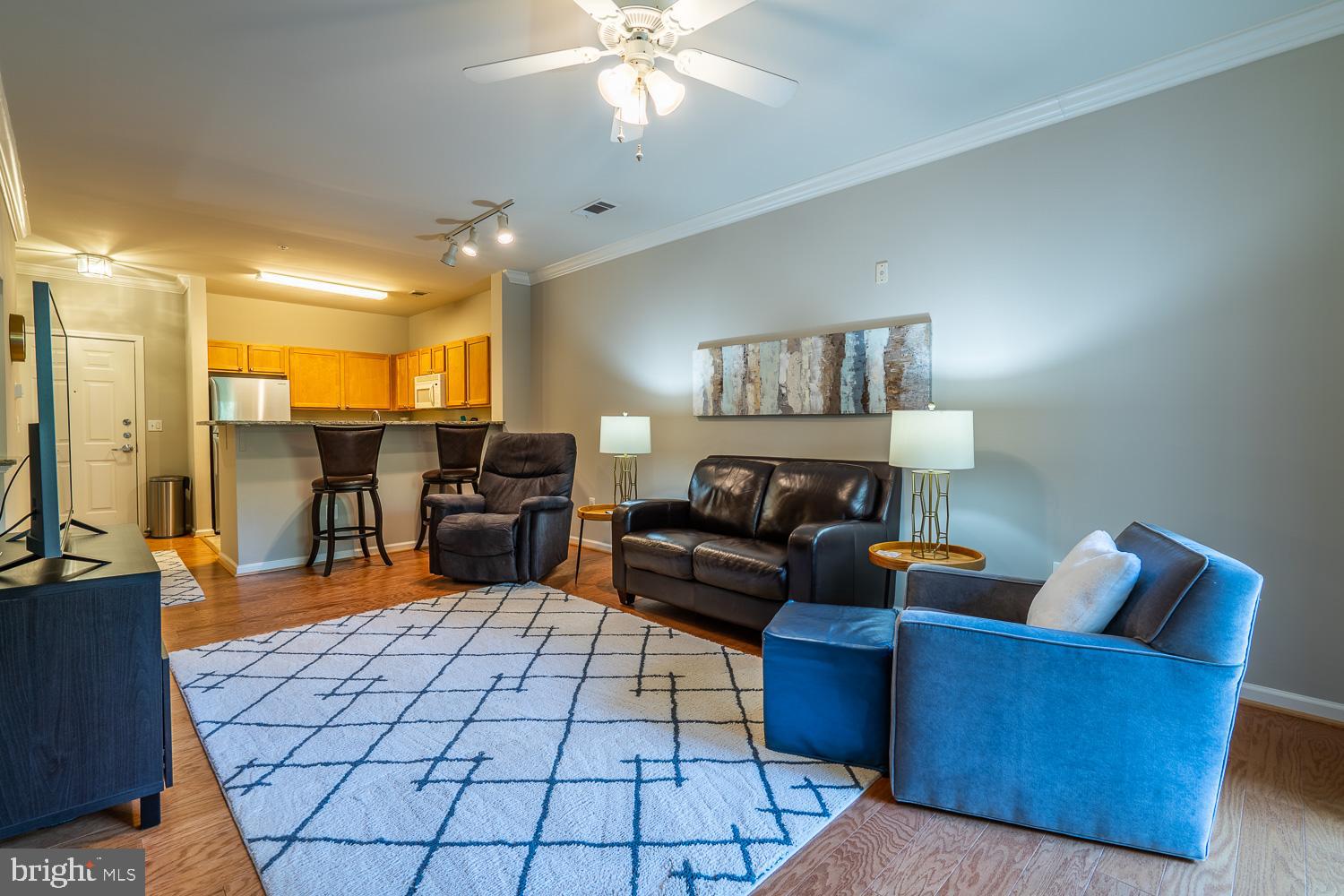 SAVOY AT RESTON TOWN CENTER - Residential