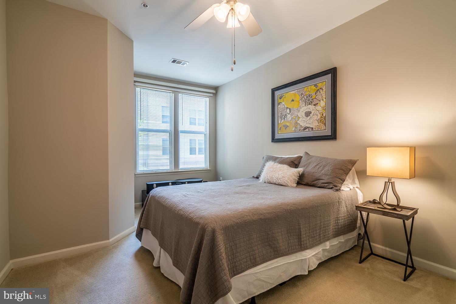 SAVOY AT RESTON TOWN CENTER - Residential