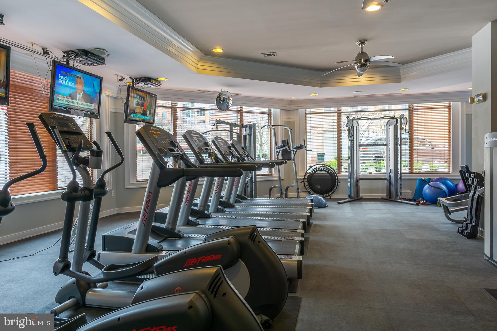 SAVOY AT RESTON TOWN CENTER - Residential