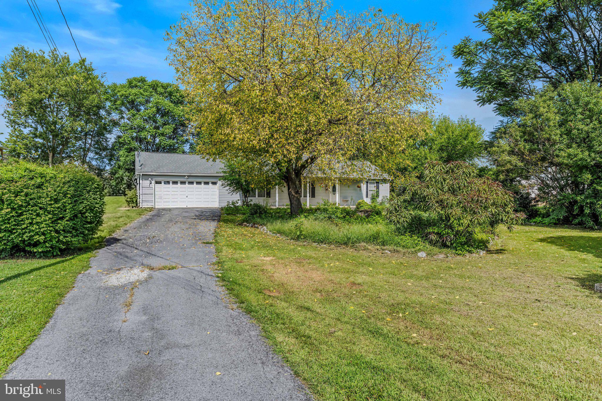 455 WILLIS DRIVE