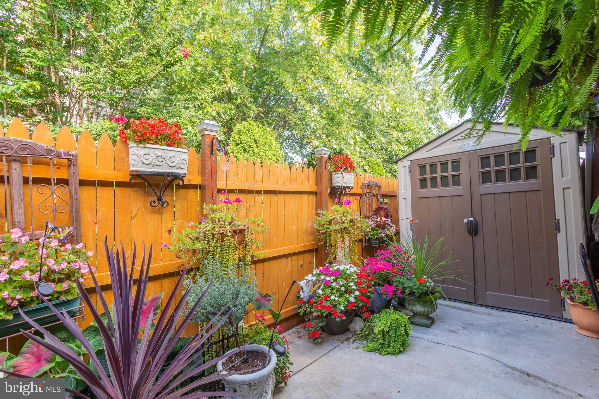 CHESTNUT WOODS - Residential