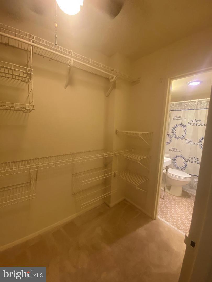 PORT ROYAL CONDOMINIUM - Residential Lease